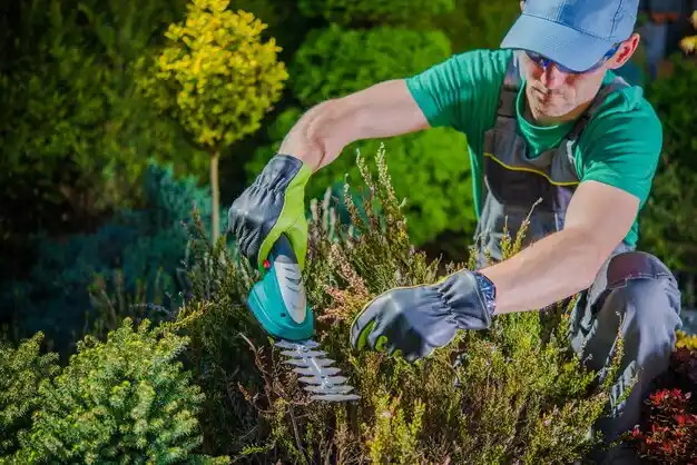 landscaping services Marble Cliff
